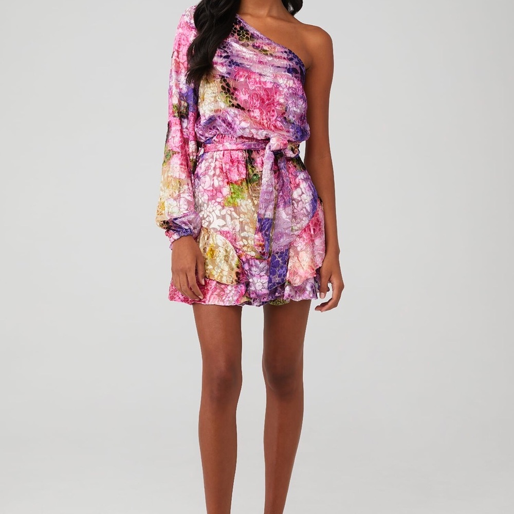 Hemant And Nandita Anat Dress Sz Small Revolve Retail $460 Sold Out Fairy